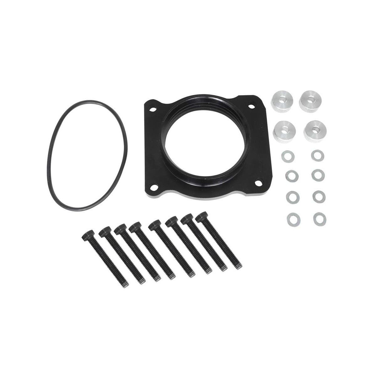 04- Ford F150 5.4L TB Spacer