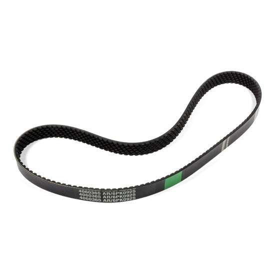 6-Rib Serp. Belt 36.5in