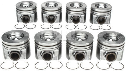 Ford 6.4 6.4L Powerstroke Diesel MAHLE Kolben (8) +Ring Kit 2008-10 .030